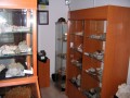Vasszécseny ásványmúzeum vitrin5