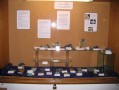 2011 április Érces ásványok kiállítása a Szabadművelődés Házában